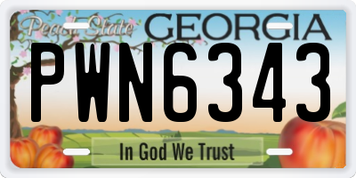 GA license plate PWN6343