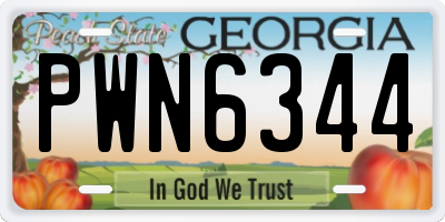 GA license plate PWN6344
