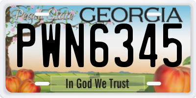 GA license plate PWN6345