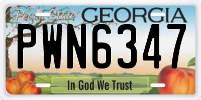 GA license plate PWN6347
