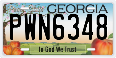 GA license plate PWN6348