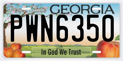 GA license plate PWN6350