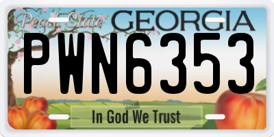 GA license plate PWN6353