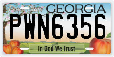 GA license plate PWN6356