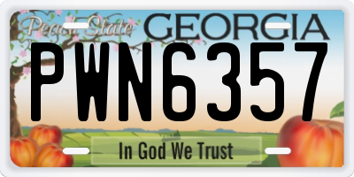 GA license plate PWN6357