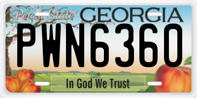 GA license plate PWN6360