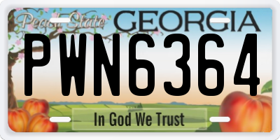 GA license plate PWN6364
