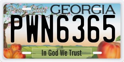 GA license plate PWN6365