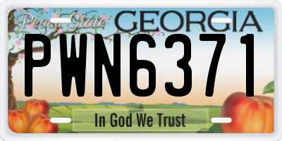 GA license plate PWN6371