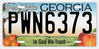 GA license plate PWN6373