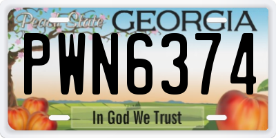 GA license plate PWN6374
