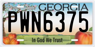 GA license plate PWN6375