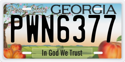 GA license plate PWN6377