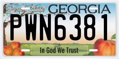 GA license plate PWN6381