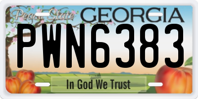 GA license plate PWN6383