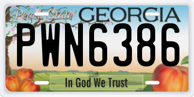 GA license plate PWN6386