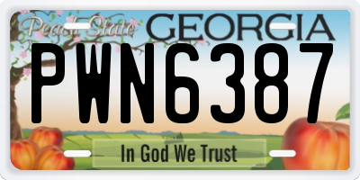 GA license plate PWN6387