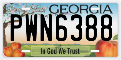 GA license plate PWN6388
