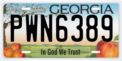 GA license plate PWN6389