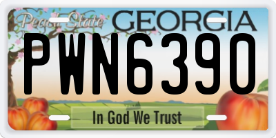 GA license plate PWN6390