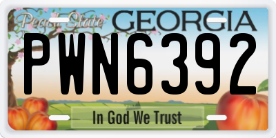 GA license plate PWN6392