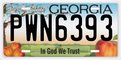 GA license plate PWN6393