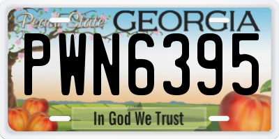 GA license plate PWN6395