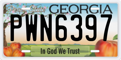 GA license plate PWN6397