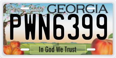 GA license plate PWN6399