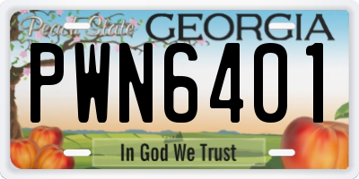 GA license plate PWN6401