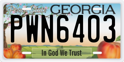 GA license plate PWN6403