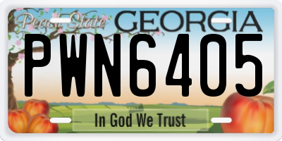 GA license plate PWN6405