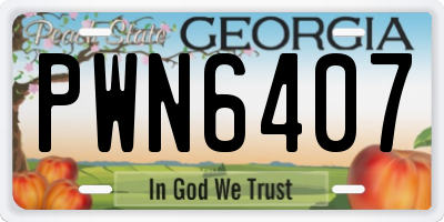 GA license plate PWN6407