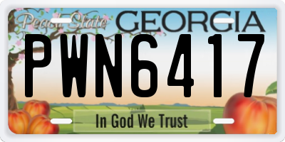 GA license plate PWN6417