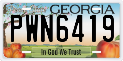 GA license plate PWN6419