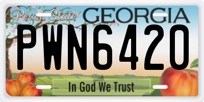 GA license plate PWN6420