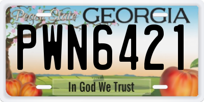 GA license plate PWN6421