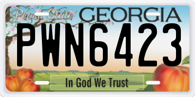 GA license plate PWN6423