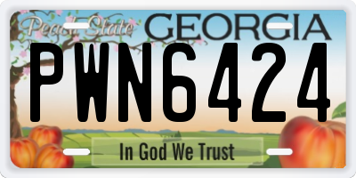GA license plate PWN6424