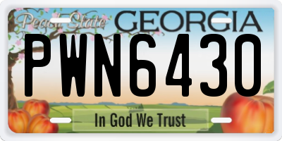 GA license plate PWN6430