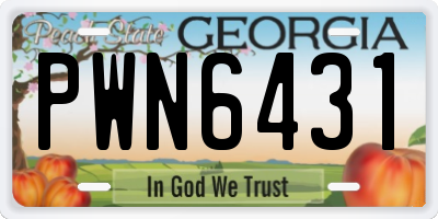 GA license plate PWN6431