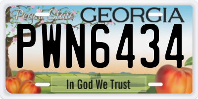 GA license plate PWN6434