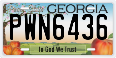 GA license plate PWN6436