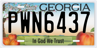 GA license plate PWN6437