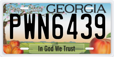 GA license plate PWN6439