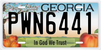 GA license plate PWN6441
