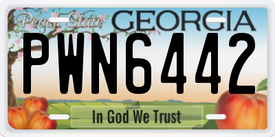 GA license plate PWN6442