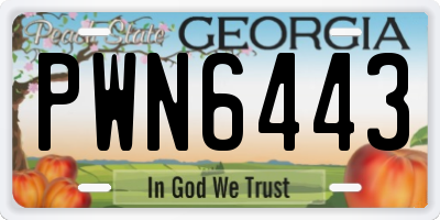 GA license plate PWN6443