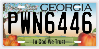 GA license plate PWN6446