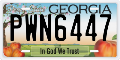 GA license plate PWN6447